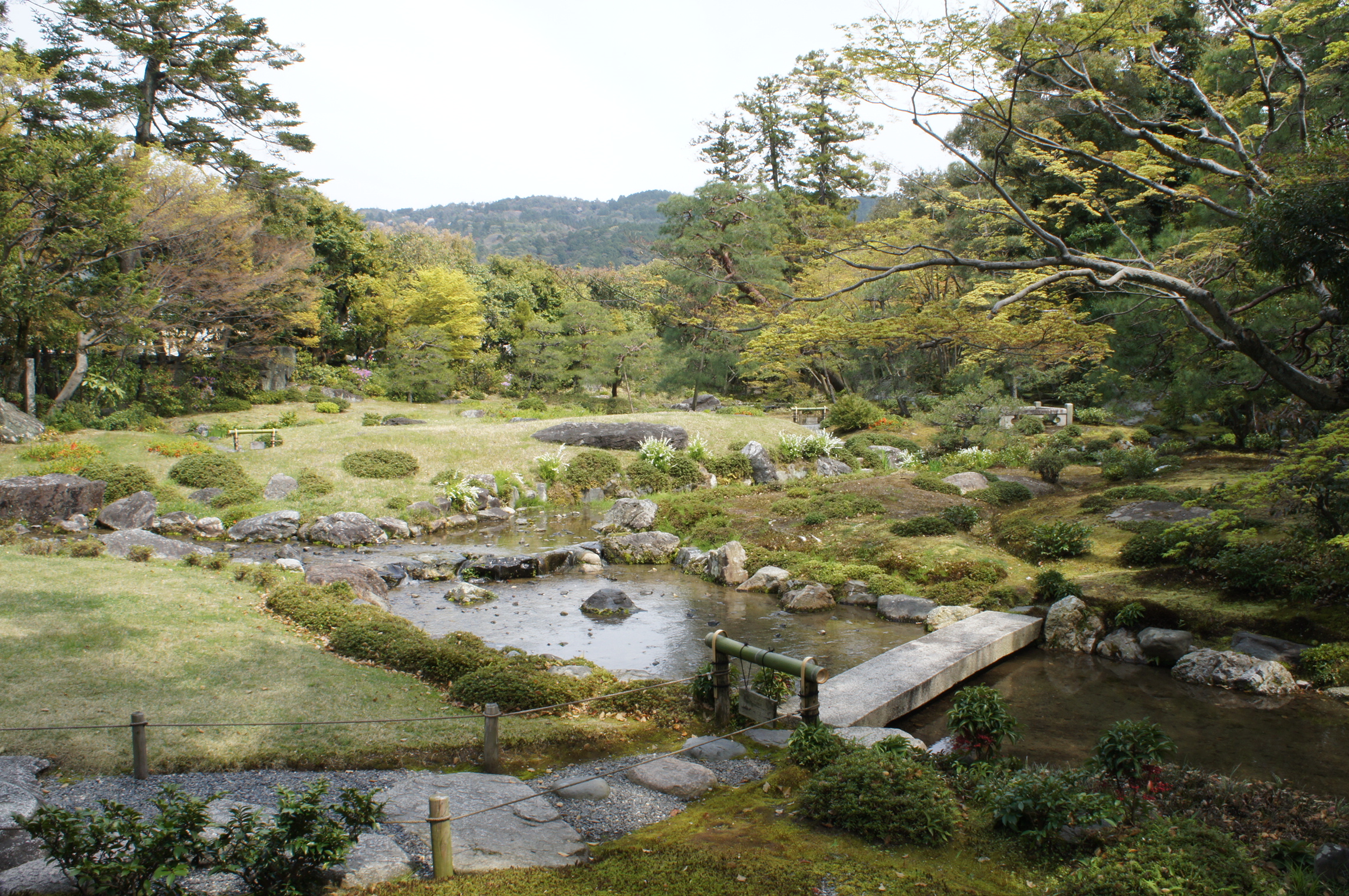 京都研修　野沢園blog　グリーンレンタル