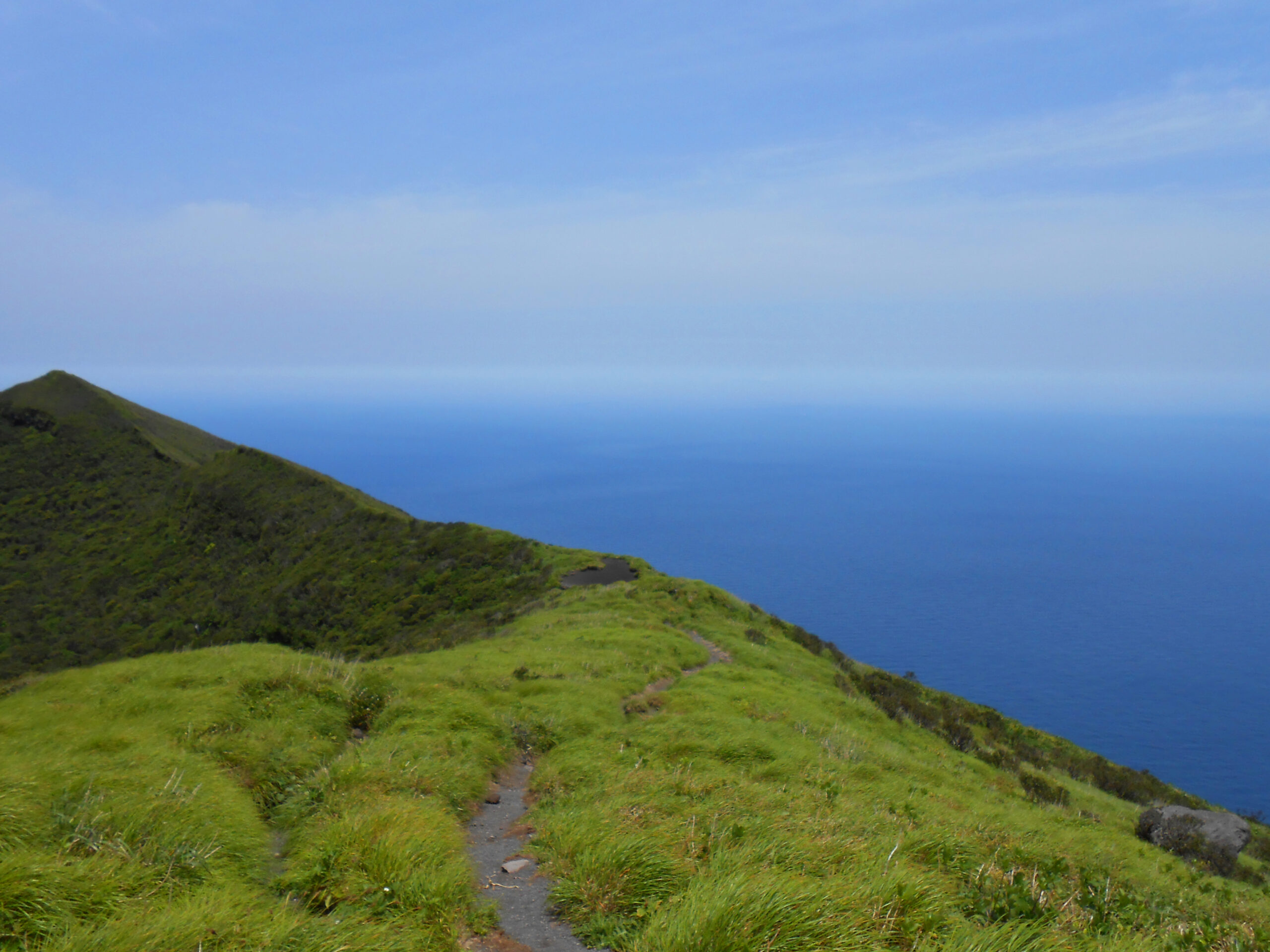 八丈島研修　野沢園blog　グリーンレンタル