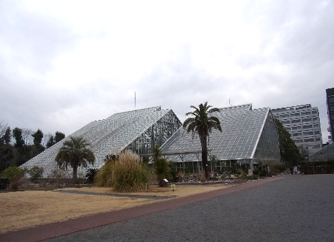 筑波実験植物園　野沢園blog
グリーンレンタル