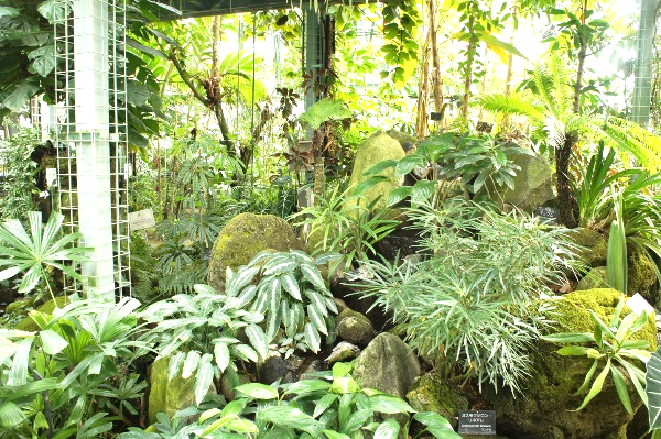 筑波植物園　野沢園blog グリーンレンタル