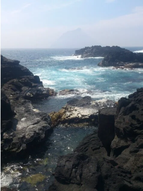 野沢園八丈島農場　野沢園blog　グリーンレンタル　
