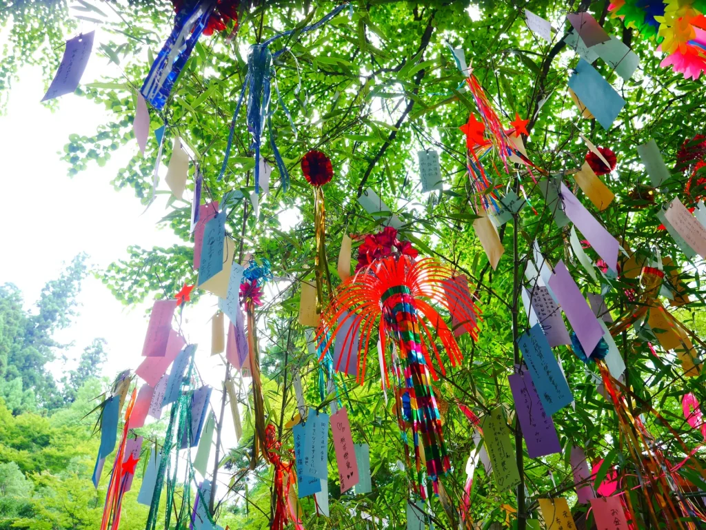 七夕飾り　野沢園ブログ グリーンレンタル