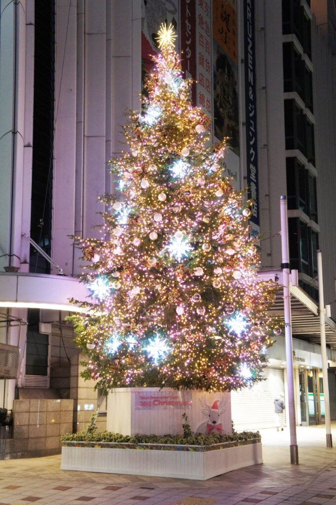 野沢園　クリスマスツリー　造園部
