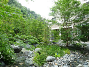 サンシティ町田　野沢園造園部
