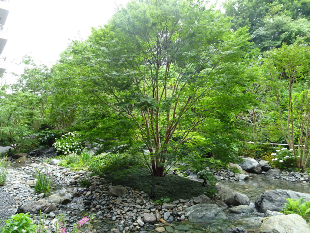 サンシティ町田　野沢園造園部