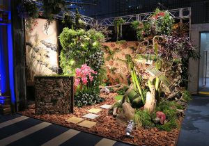 野沢園テレビ美術装飾　テレビ業界イベントセット