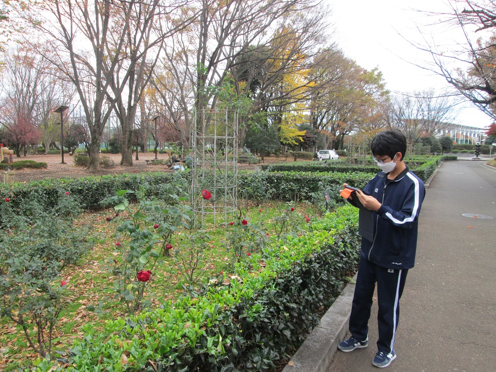 中学生職業体験