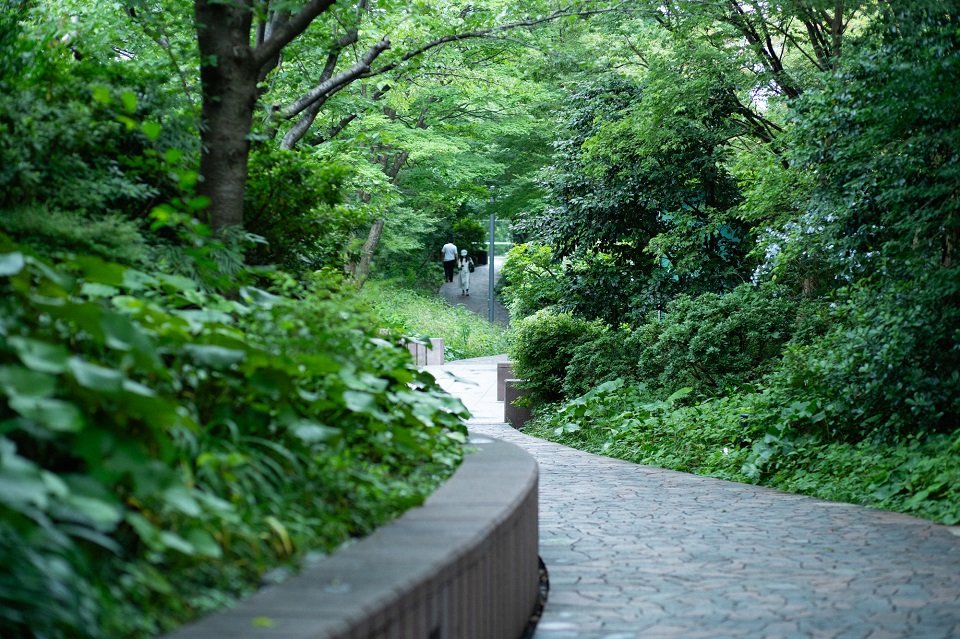 風の道