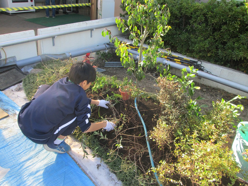 野沢園職場体験