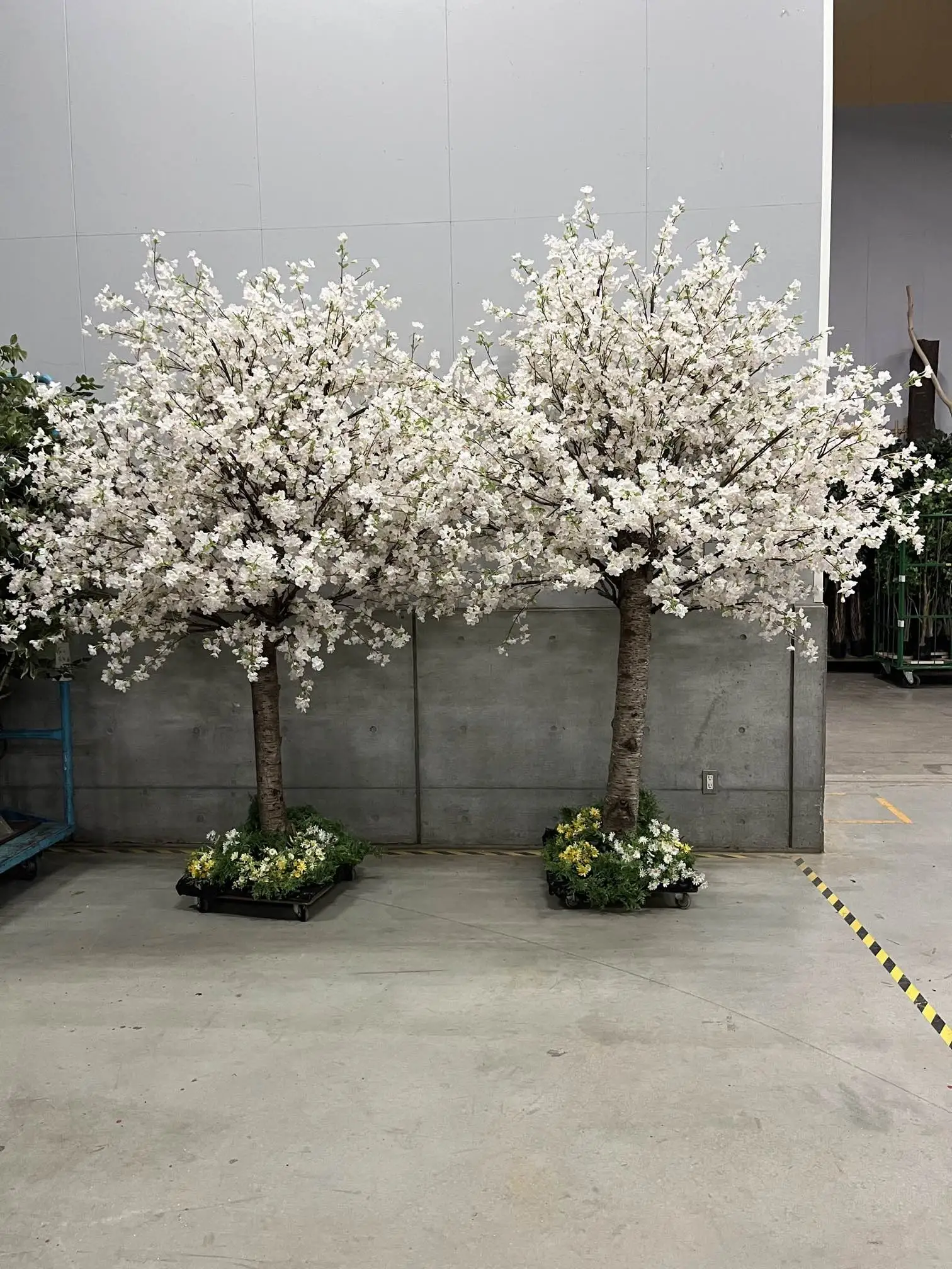 桜の花見　野沢園テレビ部　野沢園blog