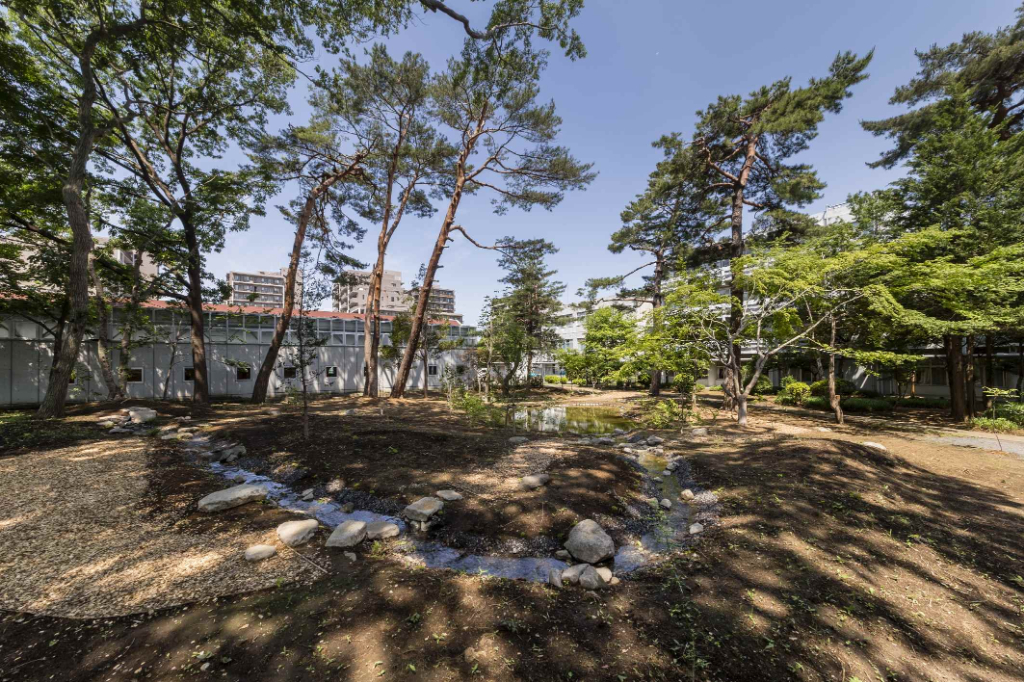 明治学院東村山高校ビオトープ　野沢園造園部