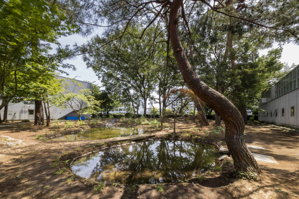明治学院東村山高校ビオトープ　野沢園造園部