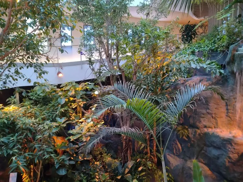 大阪万博　野沢園blog