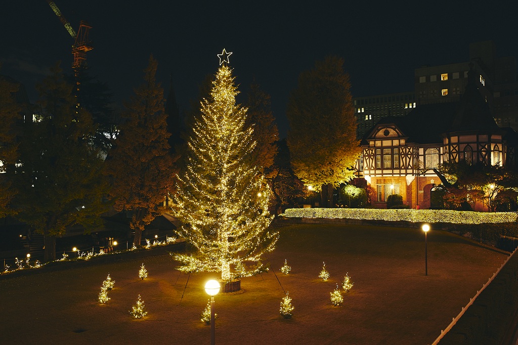 明治学院クリスマスツリー 野沢園造園部