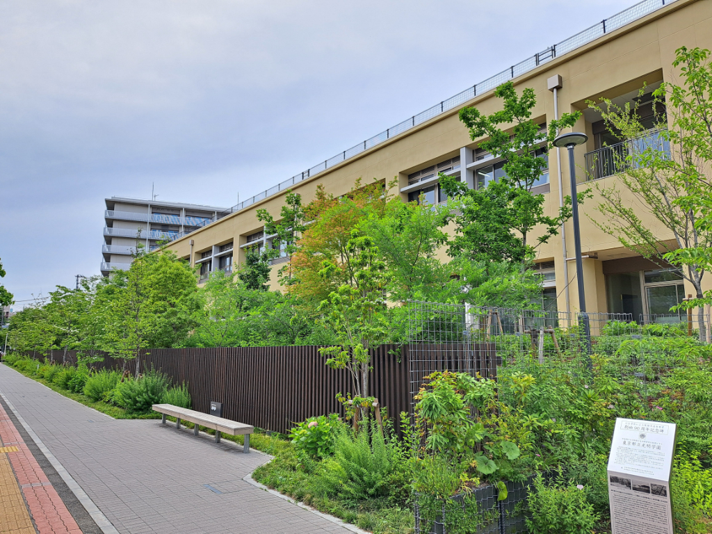 光明学園植栽　野沢園造園部