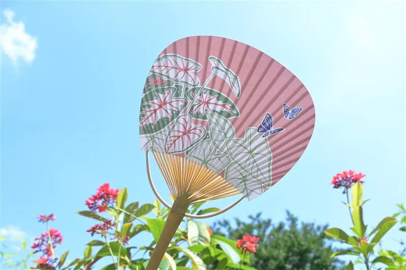 野沢園オリジナル団扇 カラジウムの柄