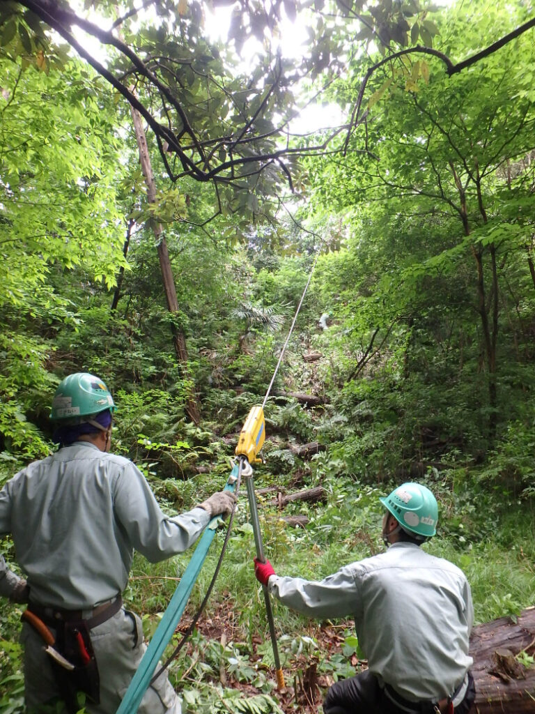 野沢園造園部　植栽管理 作業中