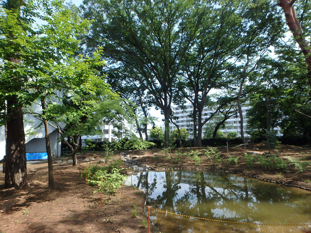 明治学院東村山高校ビオトープ　野沢園造園部