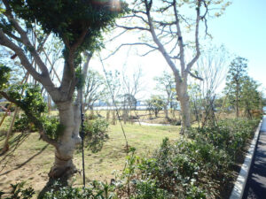 野沢園造園部　晴海ふ頭公園