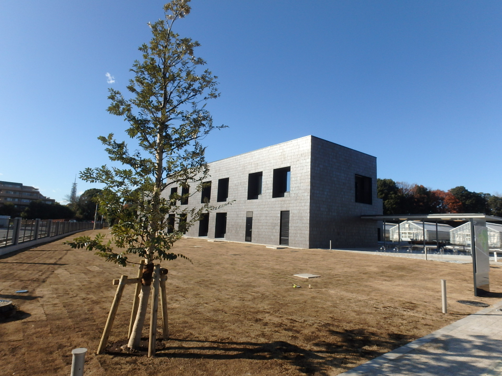 東京大学生産技術研究所　野沢園造園部