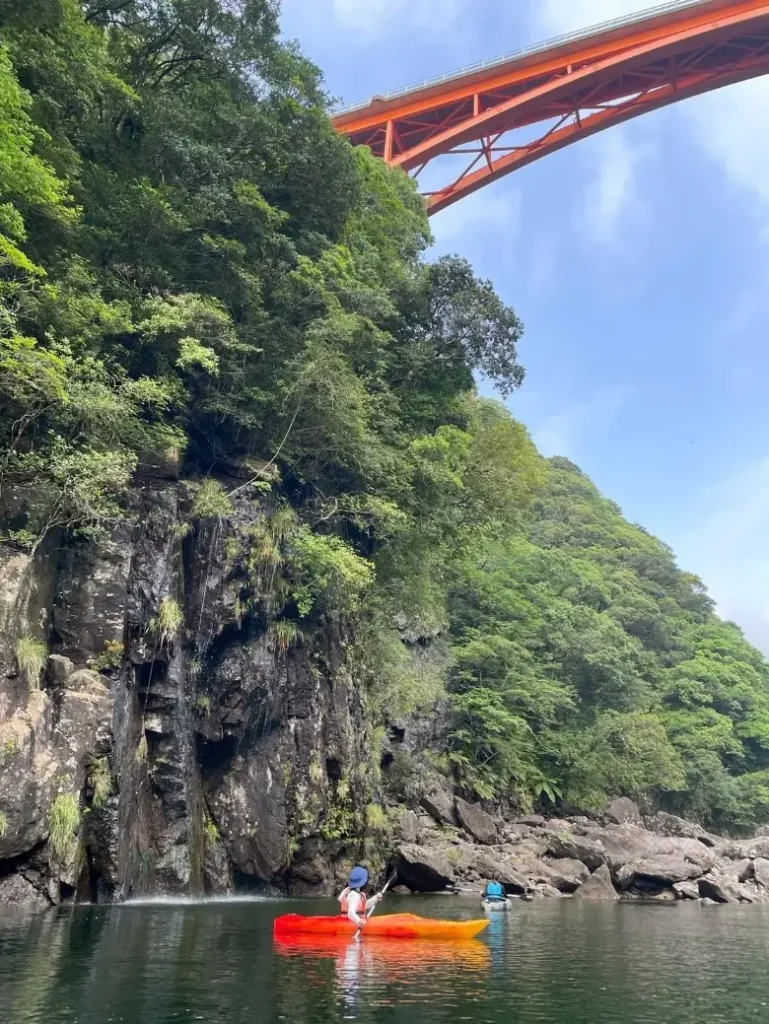 屋久島研修出張　野沢園blog　カヤックツアー