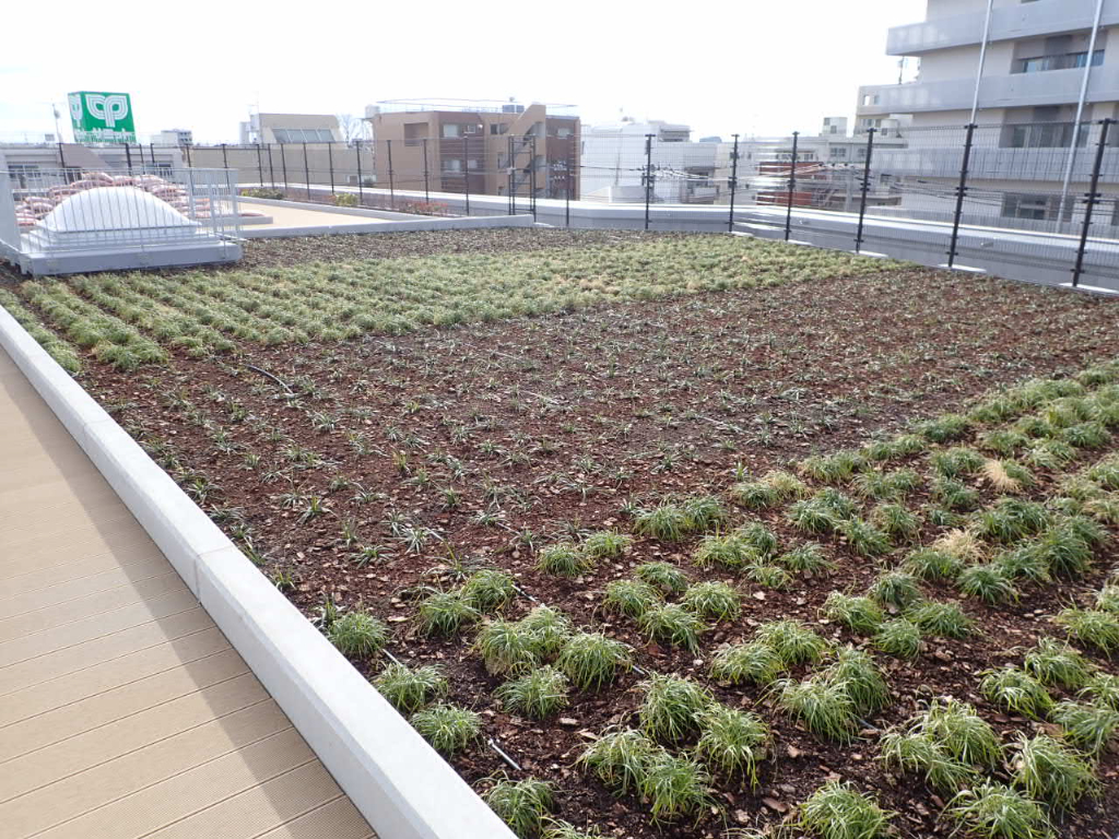光明学園植栽　野沢園造園部