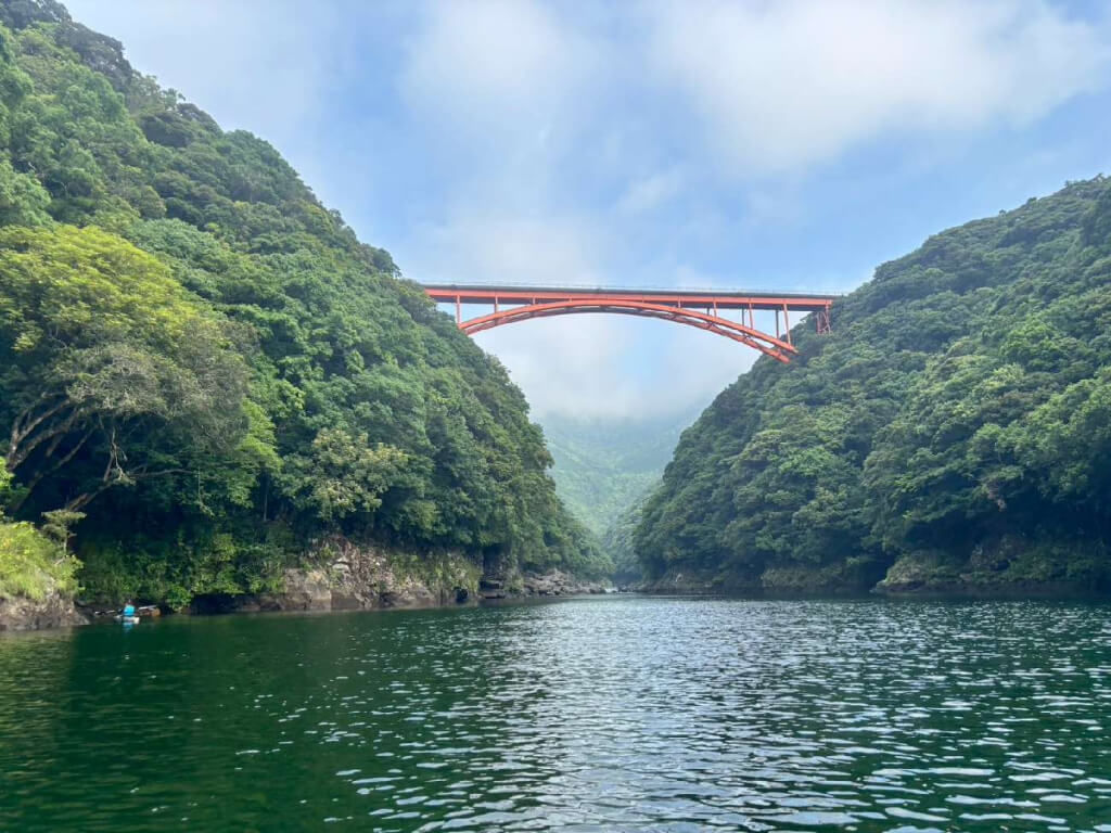 屋久島研修出張　野沢園 blog　安房川～照葉樹林帯