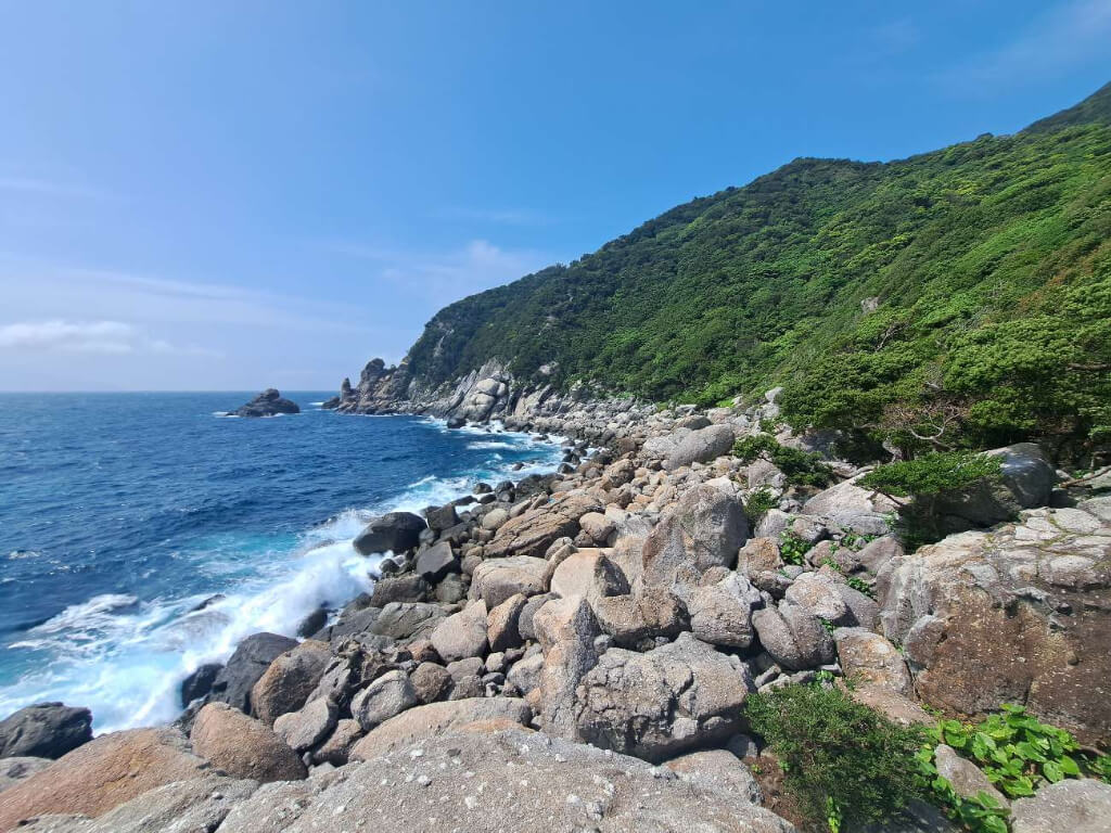 屋久島研修出張　野沢園 blog　屋久島の花崗岩