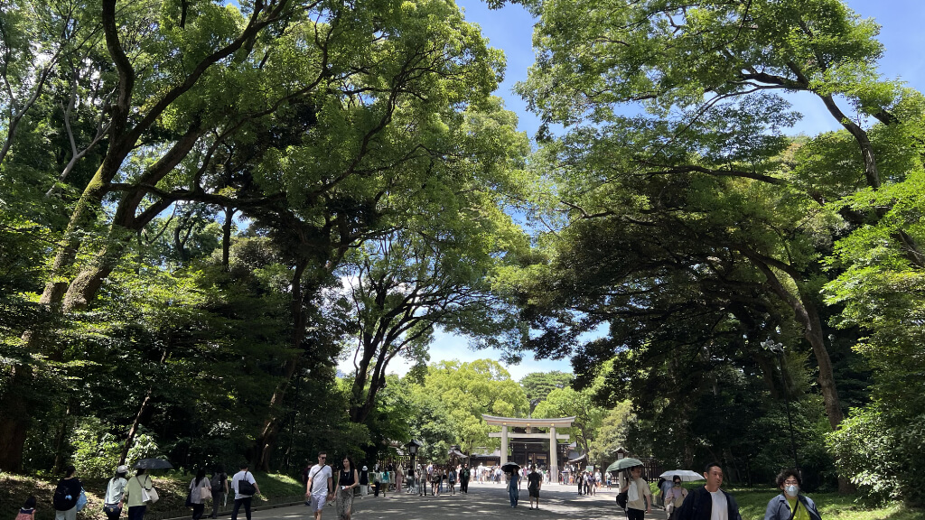 明治神宮　野沢園blog　