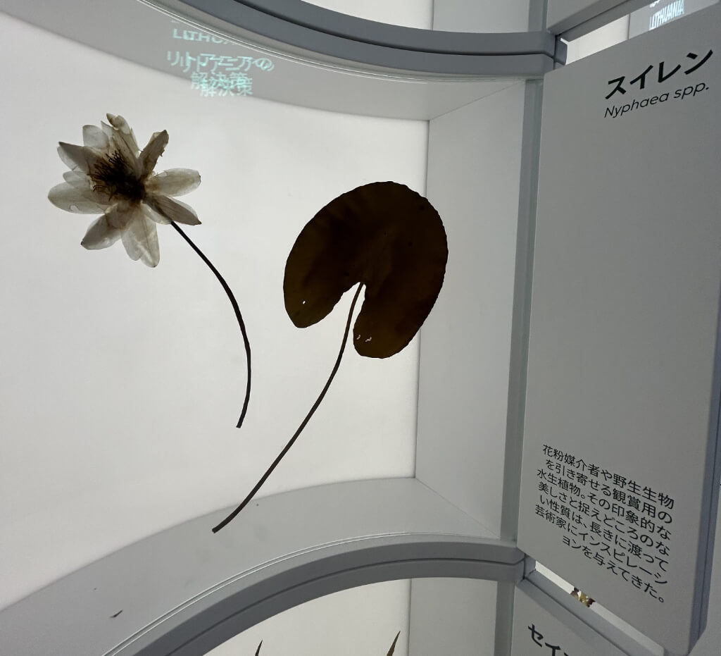 関西・大阪万博　バルトパビリオン　野沢園blog