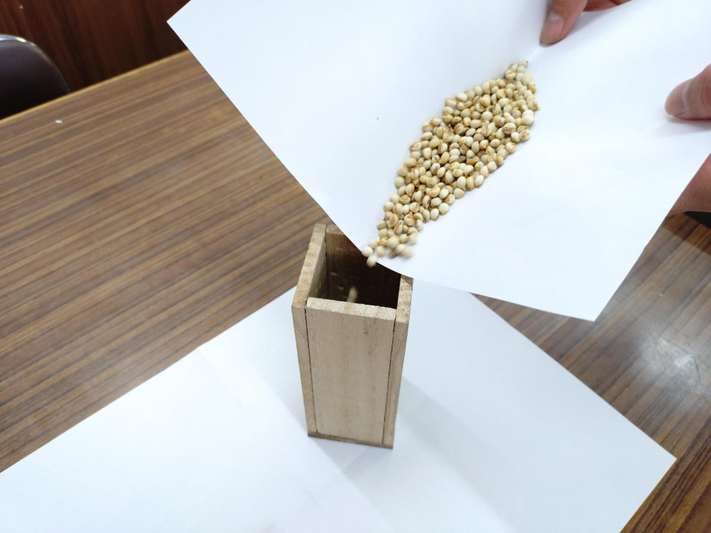 楽器の作成　ナンキンハゼの実　野沢園blog