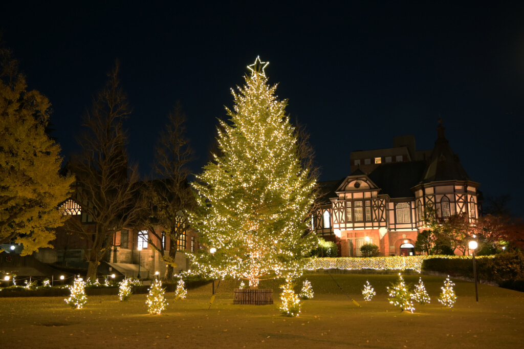 明治学院クリスマスツリー　野沢園造園施工事例