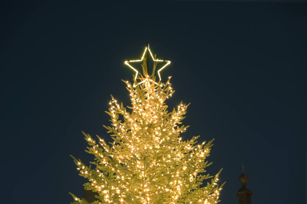 クリスマスツリーのスター　野沢園造園部施工事例