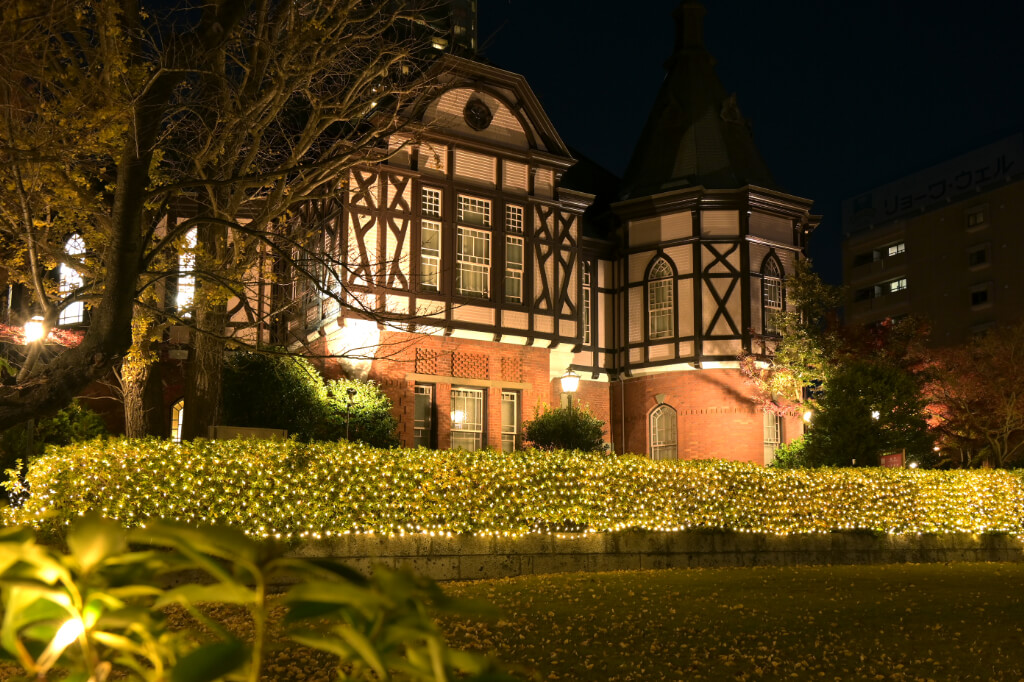 明治学院クリスマスイルミネーション　野沢園造園施工事例