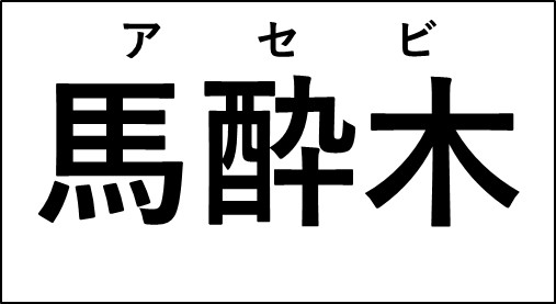 アセビとは？　野沢園ブログ