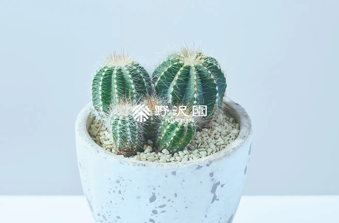 英冠丸（エイカンマル）