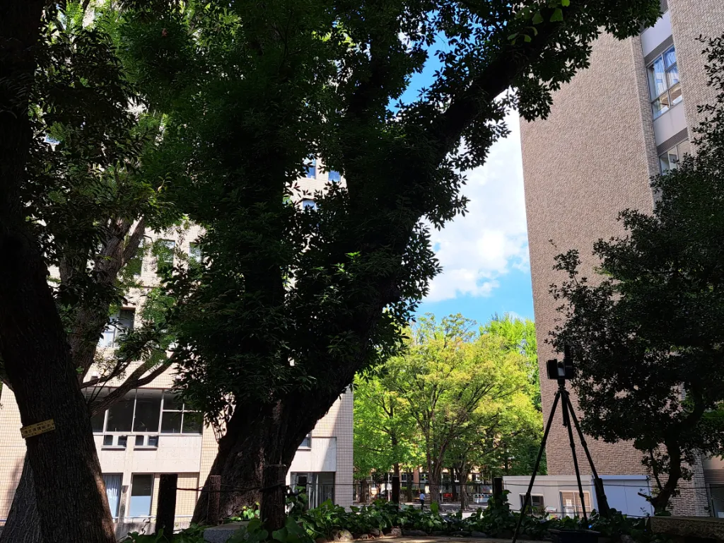 3D測量　慶應義塾大学