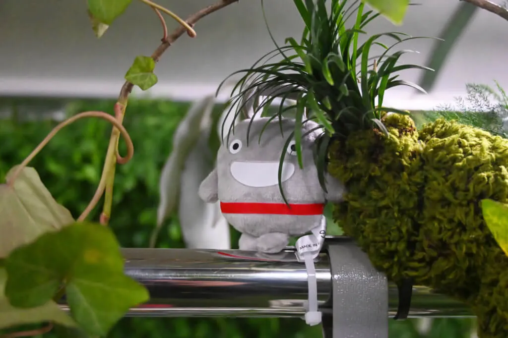 世田谷線100周年記念「のるるんグリーンパーク」野沢園施工事例　グリーンレンタル