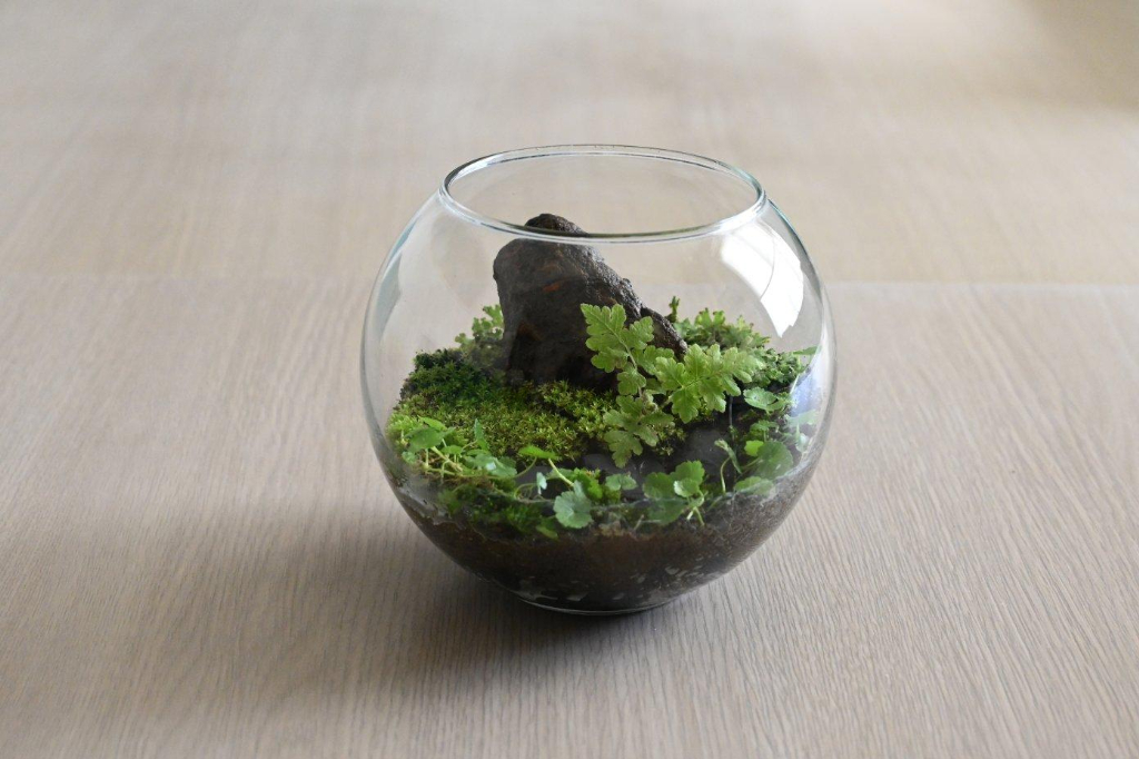 雑草でテラリウム作り 　野沢園ブログ