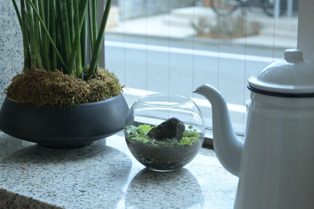 野沢園ブログ 雑草でテラリウムを作る