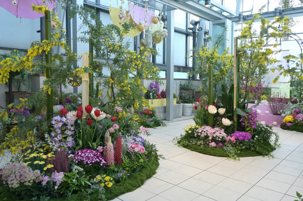 春のフラワーガーデン　野沢園　ファンケル