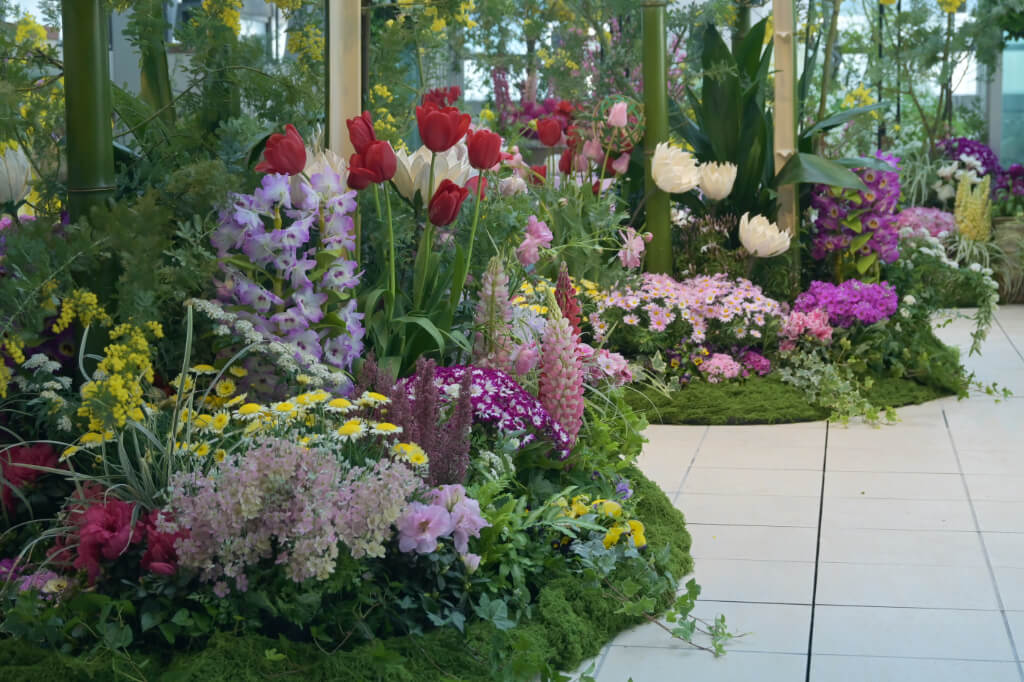 春のフラワーガーデン　野沢園　ファンケル