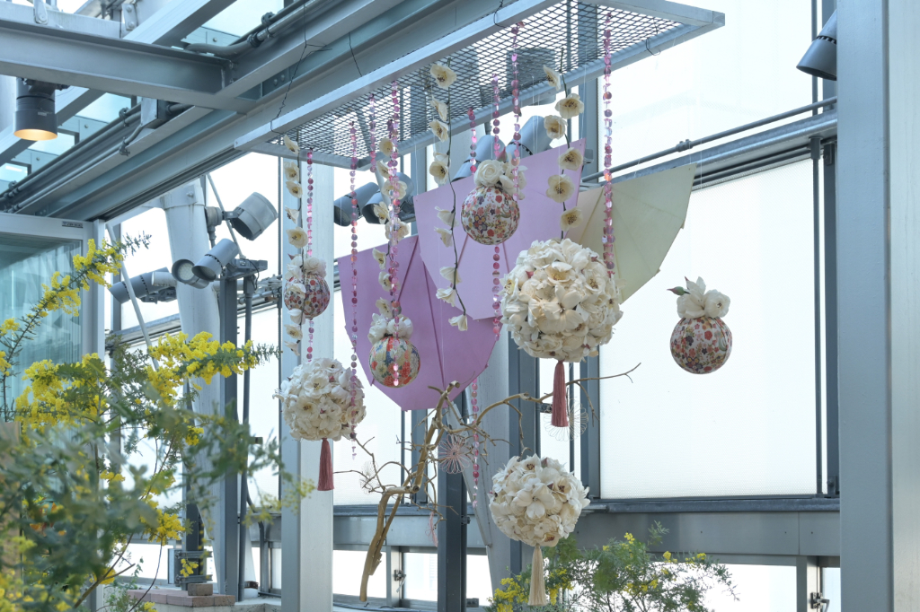 ソラフラワー　野沢園ブログ　ファンケルイベント