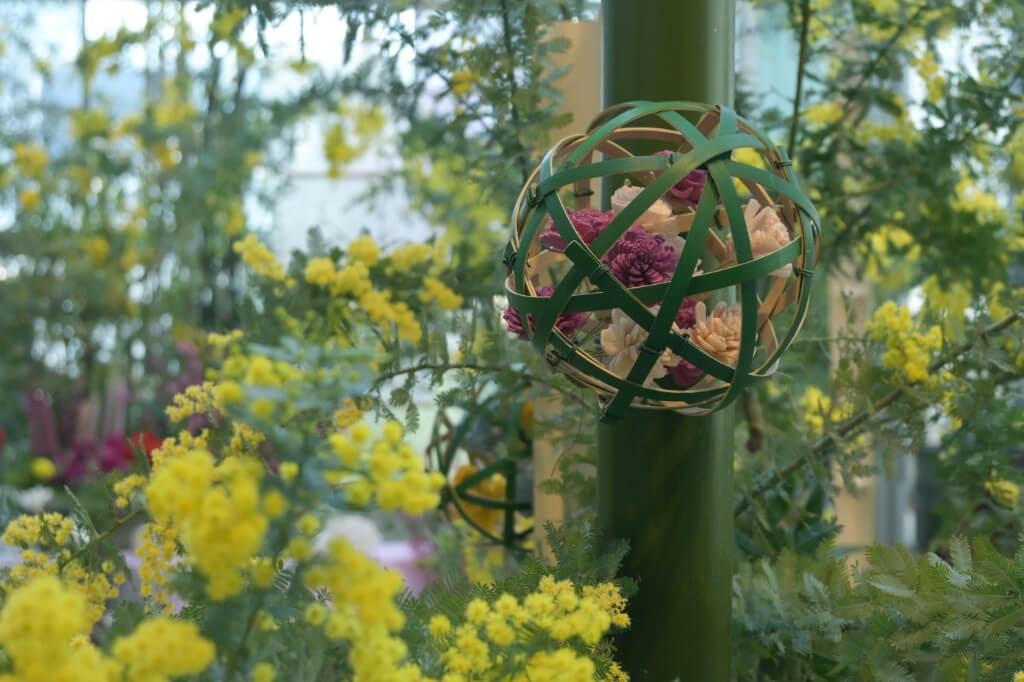 春のフラワーガーデン　野沢園　ファンケル