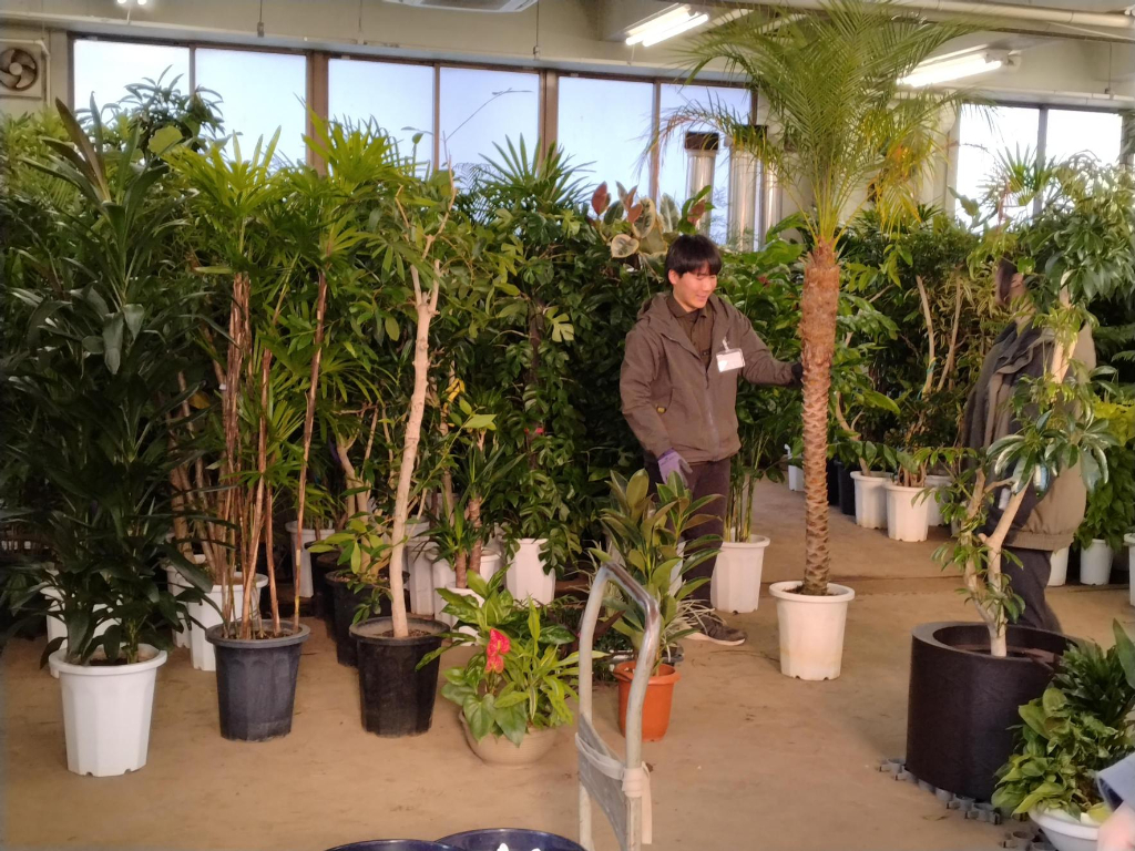 野沢園オープンカンパニーの様子　野沢園ブログ