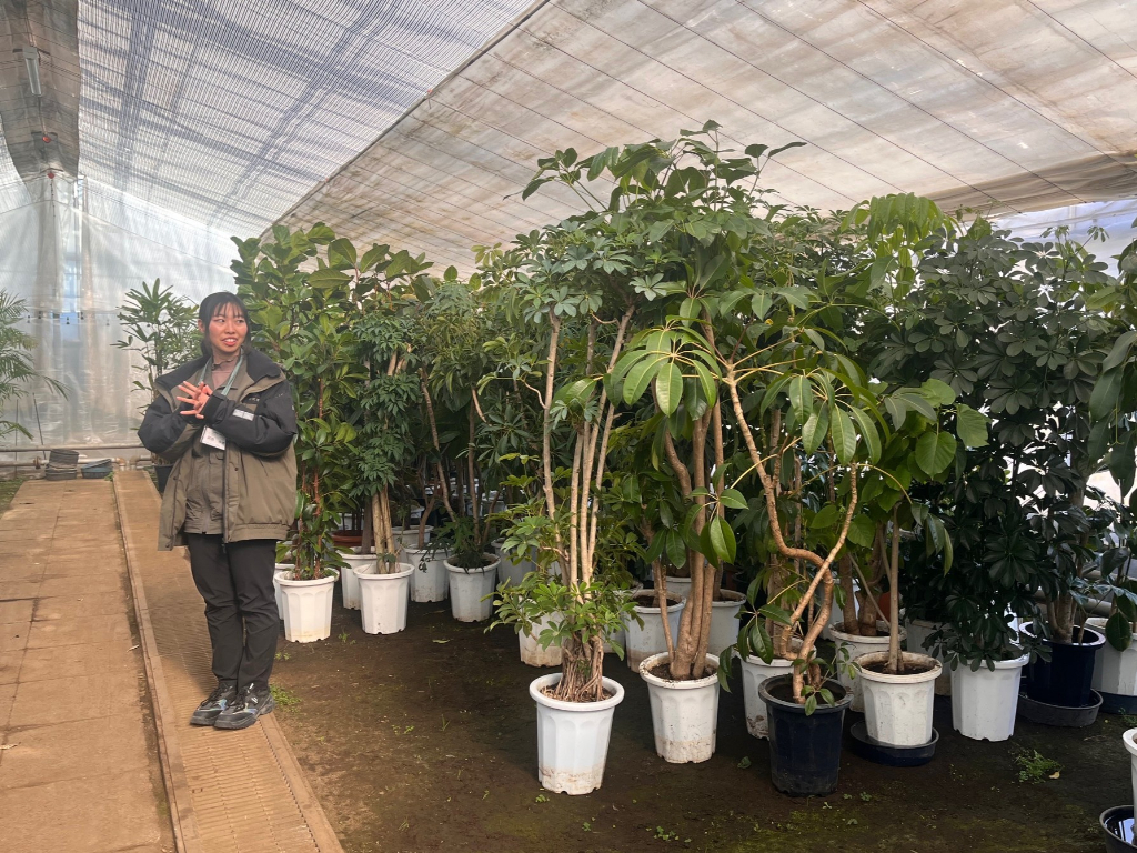 野沢園オープンカンパニーの様子　野沢園ブログ