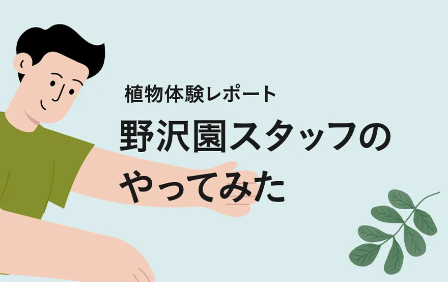 スタッフがやってみた