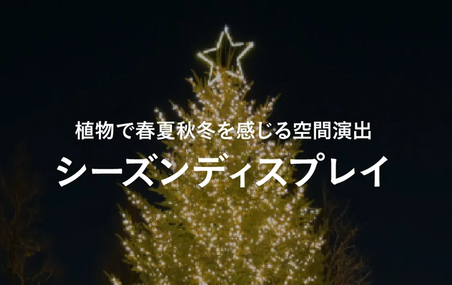 シーズンディスプレイ