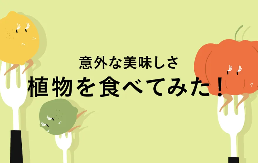 植物を食べてみた
