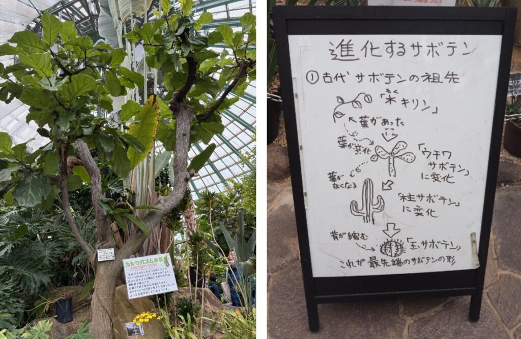 手柄山温室植物園 野沢園ブログ 研修・イベント